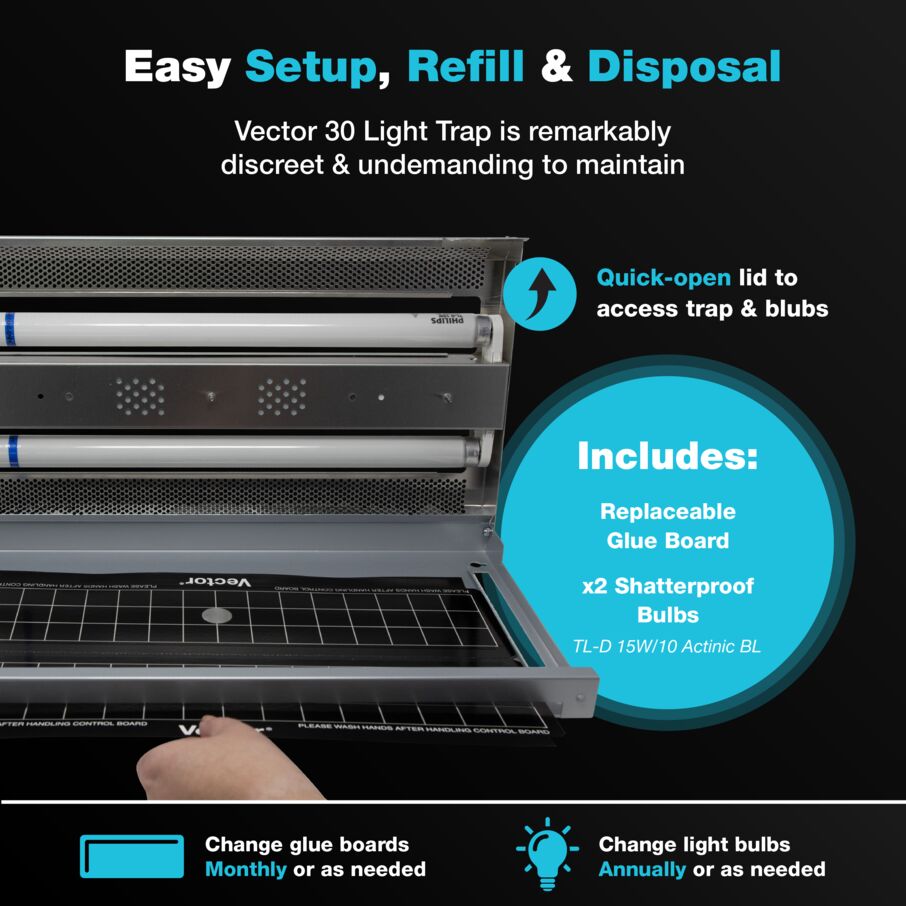 Vector 30 UV Light Fly Trap