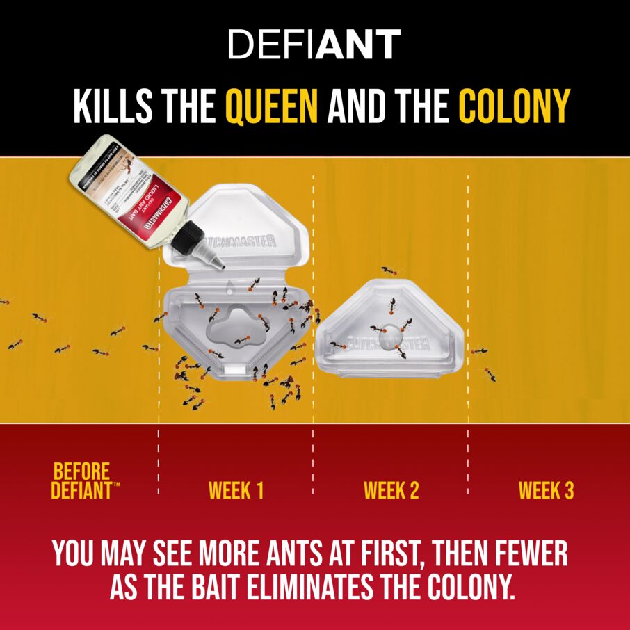 DEFIANT Reusable Heavy Duty Ant Traps Indoor & Outdoor Refill - 8 Pack