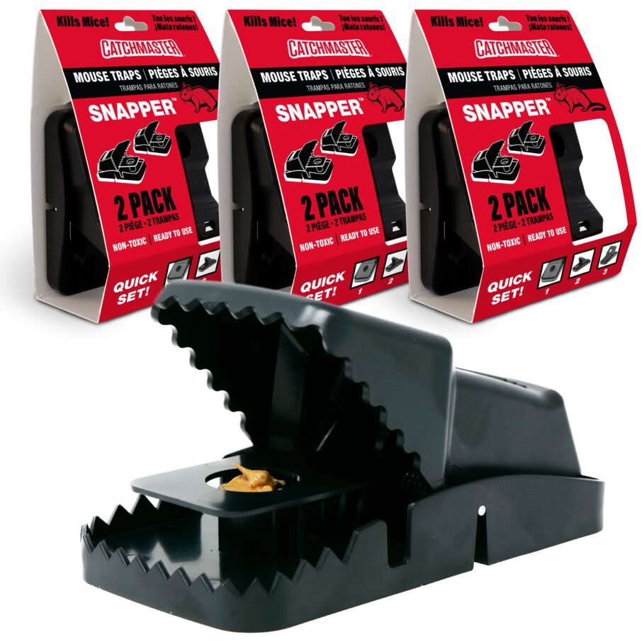 The Best Mouse Trap Catchmaster Glue Traps Glue Boards Glue Trays Catchmaster