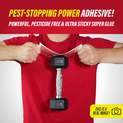 Pro Series Multi-Catch Mouse Trap Includes Replaceable Glue Board