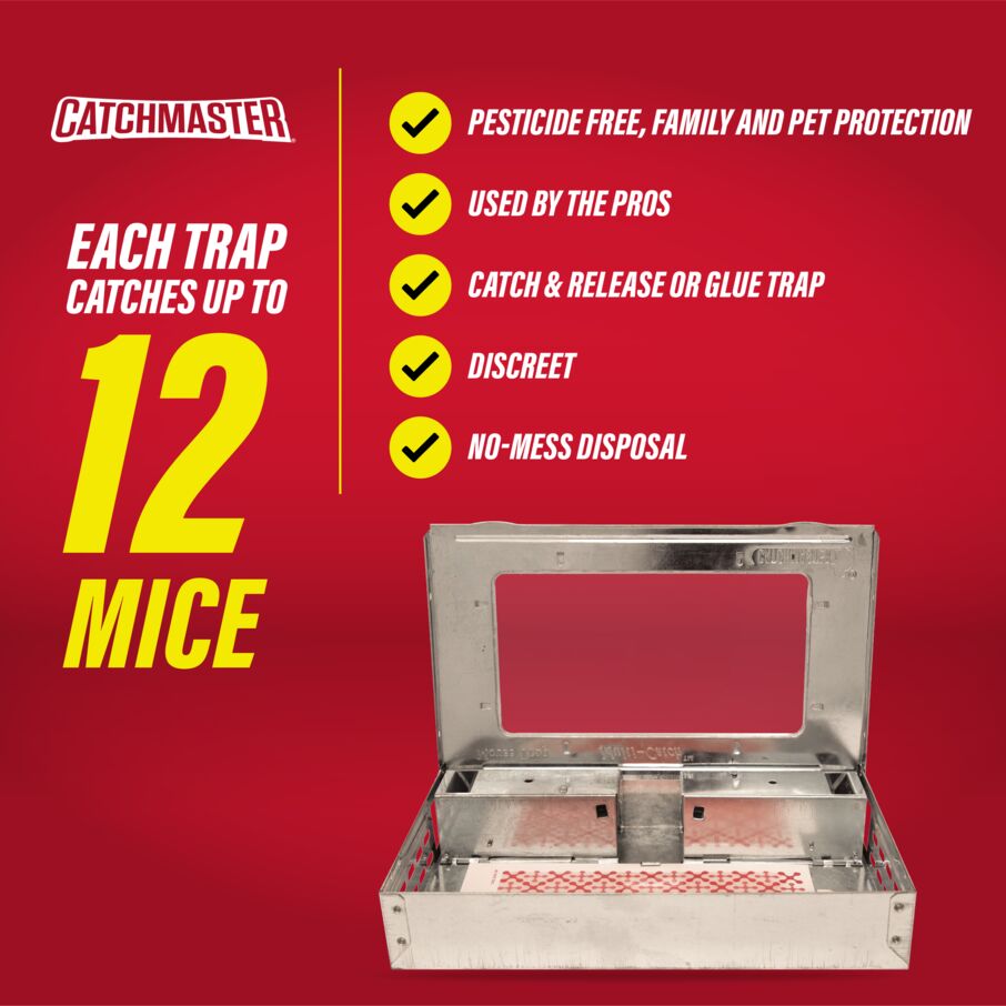 Pro Series Multi-Catch Mouse Trap Includes Replaceable Glue Board