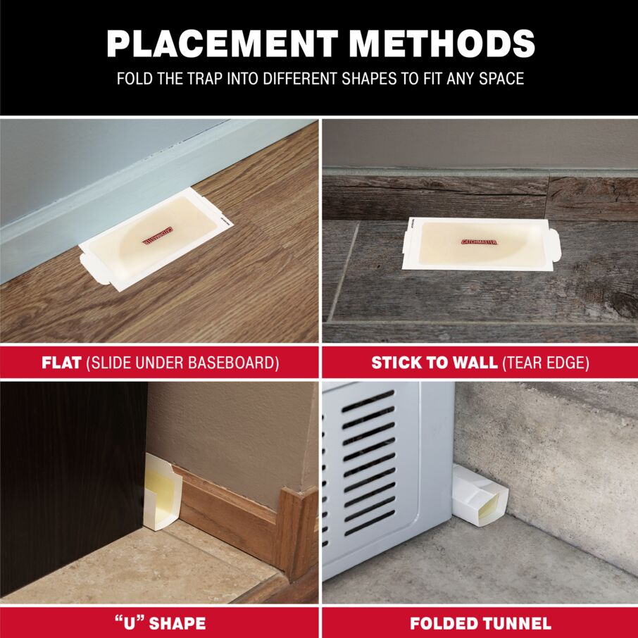 Mouse and Insect Glue Board Traps