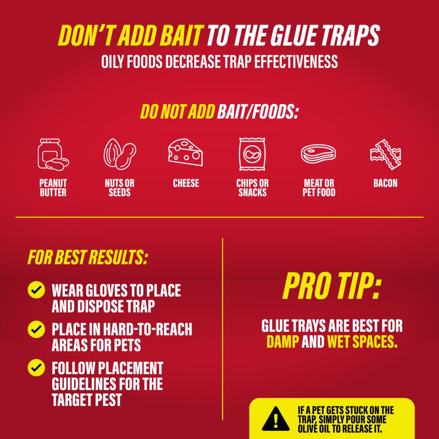 Rat, Mouse & Insect Glue Traps