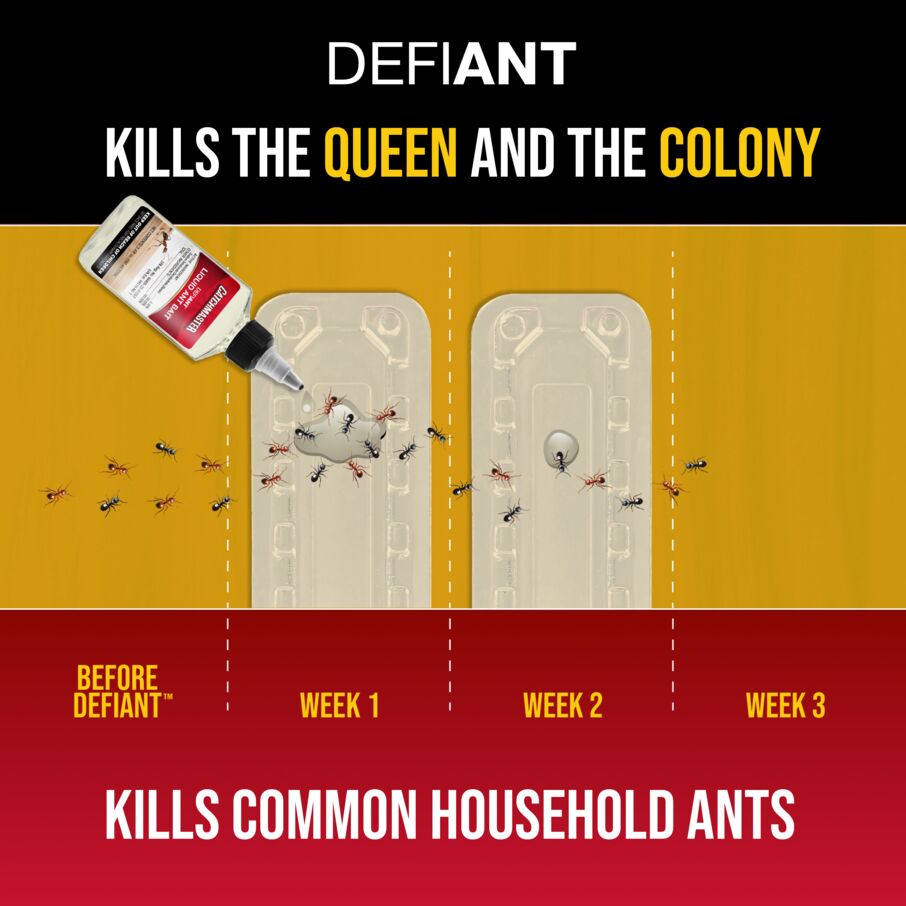 DEFIANT™ Extra Long Reusable Ant Traps Indoor – 8 Pack