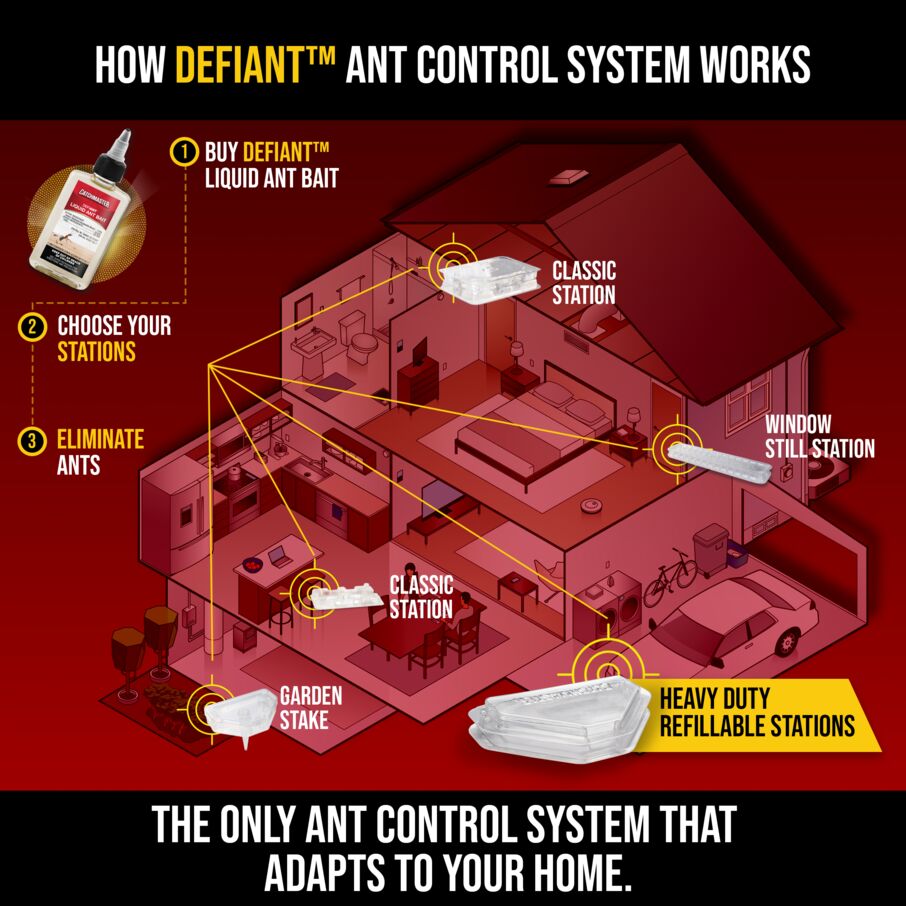DEFIANT Reusable Heavy Duty Ant Traps Indoor & Outdoor Refill - 8 Pack