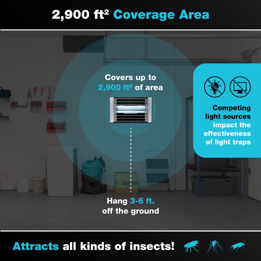Vector - The Fly Light Trap at the End of Your Fly Problem