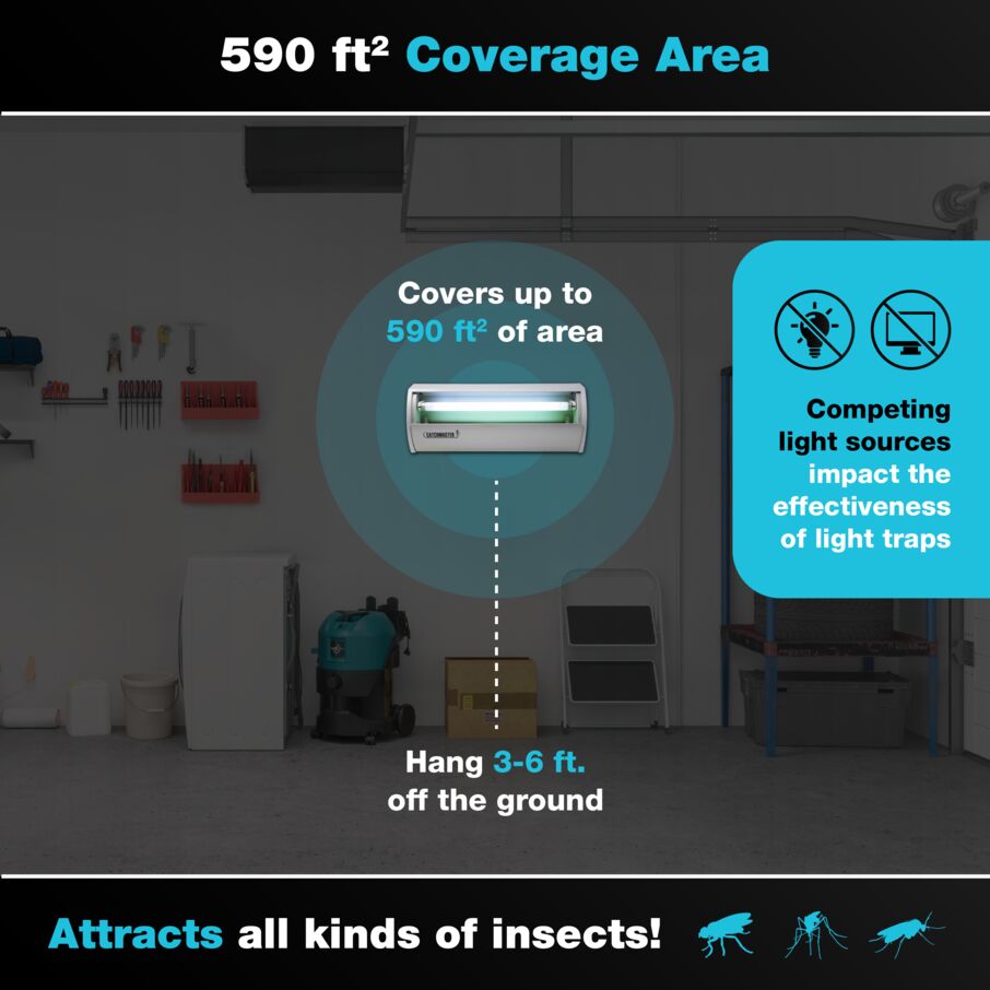 Vector - The Fly Light Trap at the End of Your Fly Problem