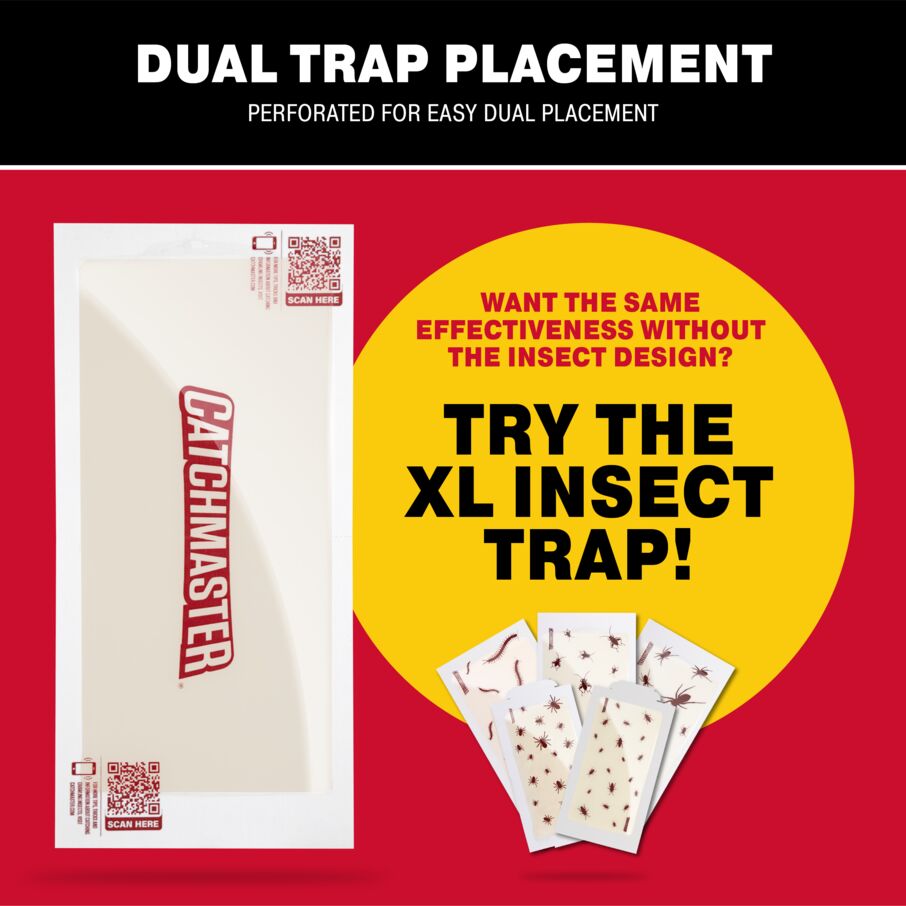 Giant XL Glue Traps for Crawling Insects