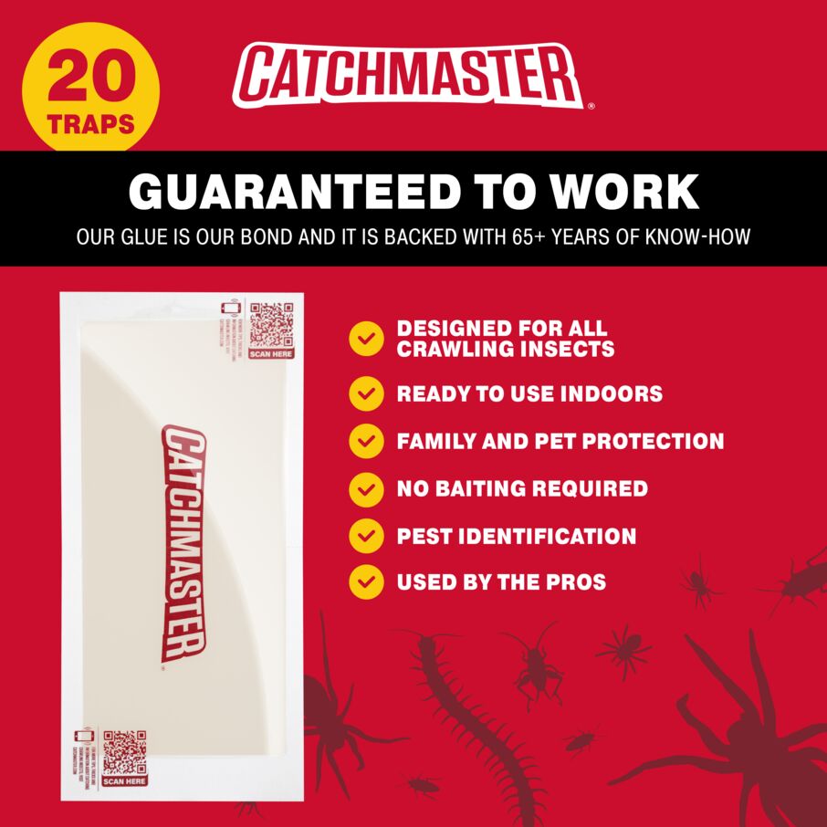 Giant XL Glue Traps for Crawling Insects