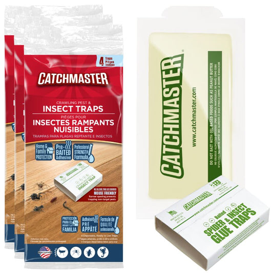 Crawling Pest, Spider & Insect Glue Board Traps