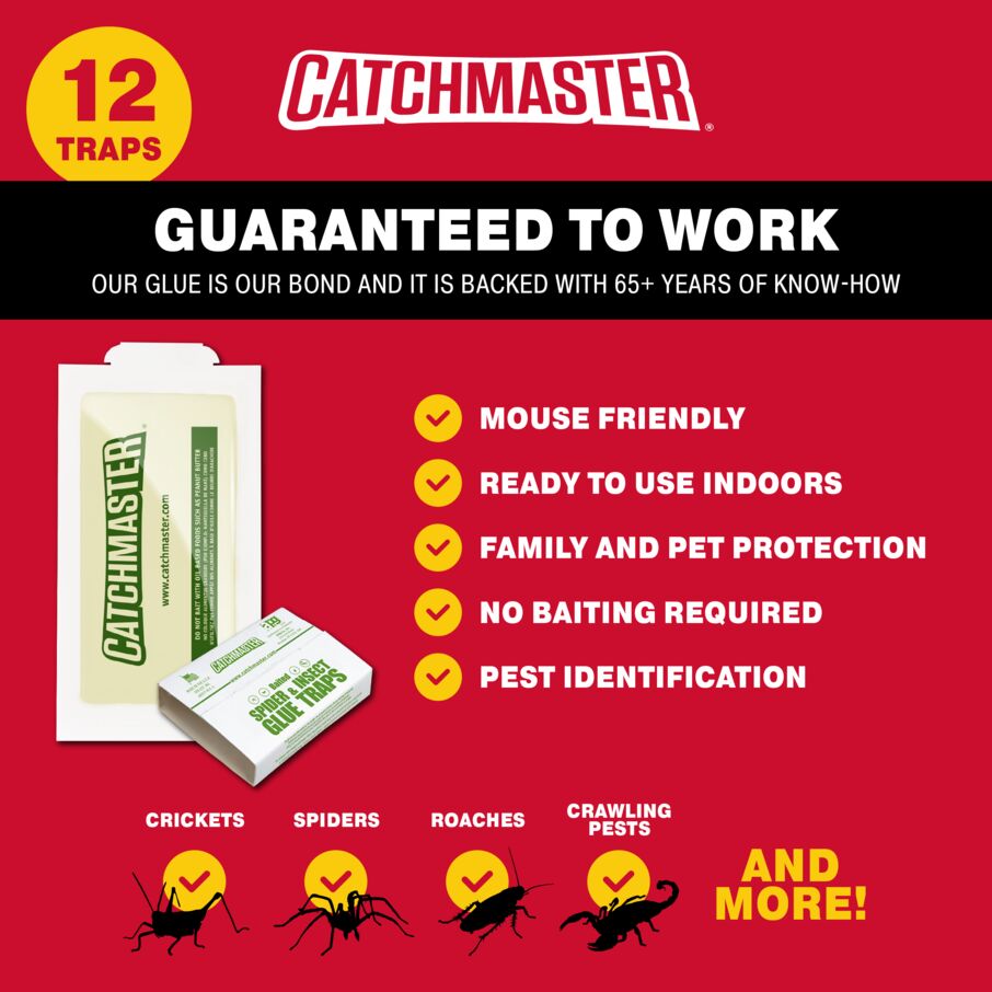 Crawling Pest, Spider & Insect Glue Board Traps