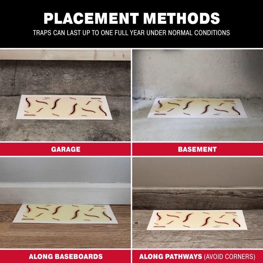Centipede XL Giant Glue Board Traps