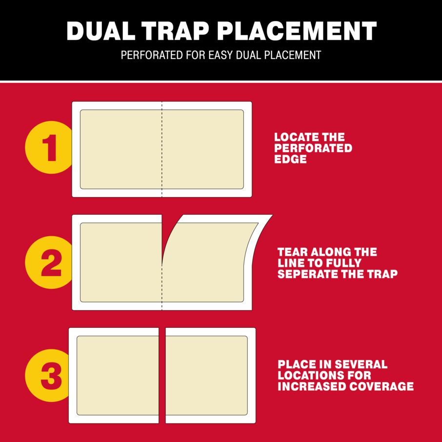 Roach Trap Glue Board Traps