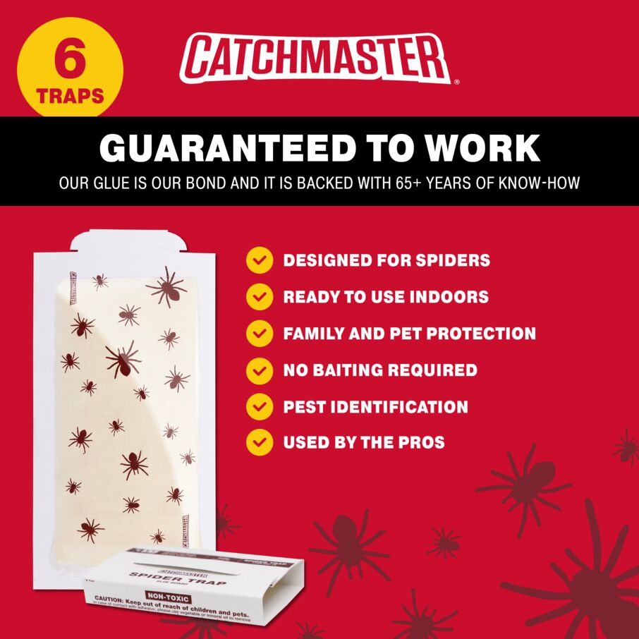 Spider Glue Board Traps