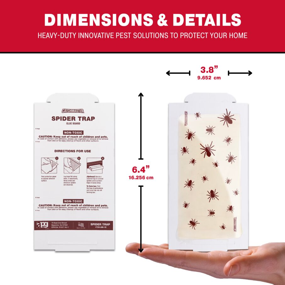 Spider Glue Board Traps