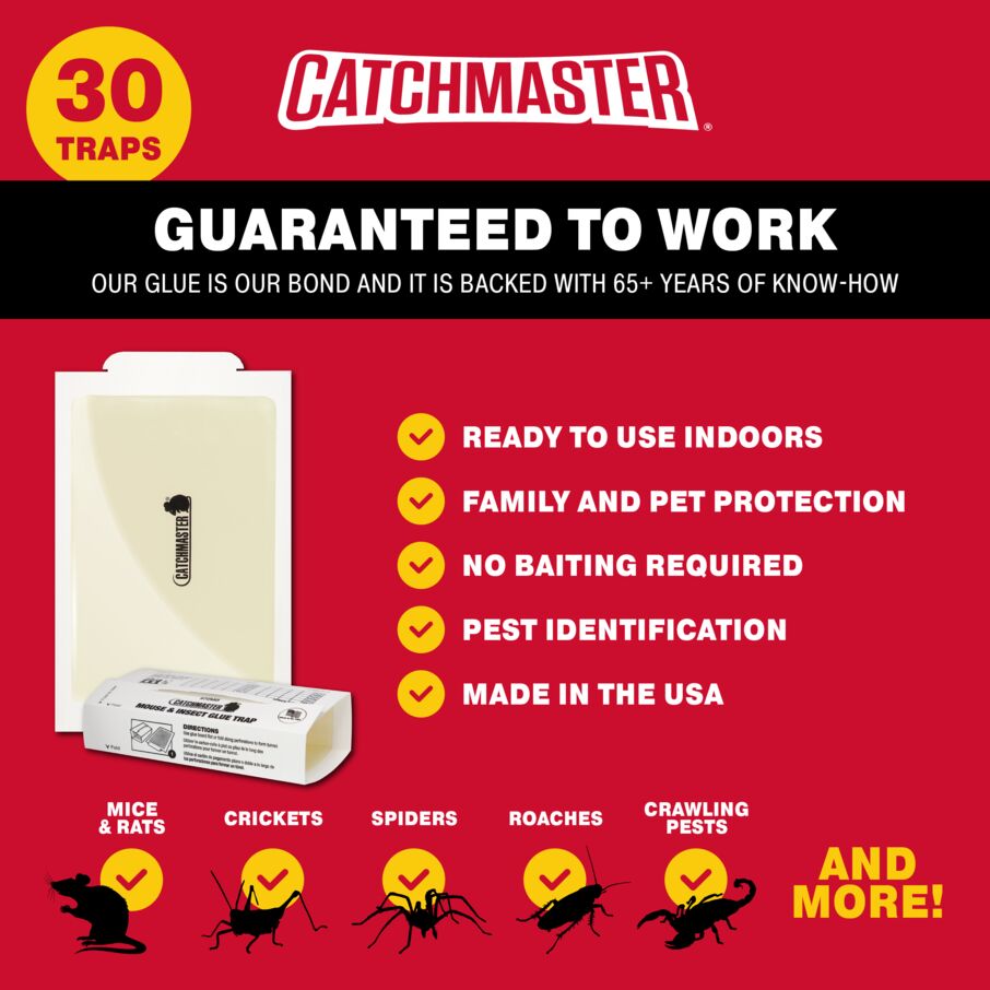 Mouse & Insect Super Glue Traps