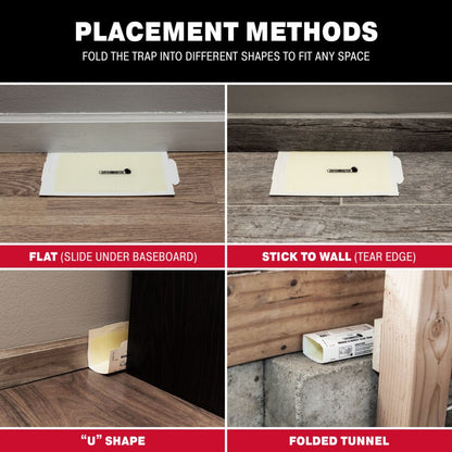 Mouse & Insect Super Glue Traps