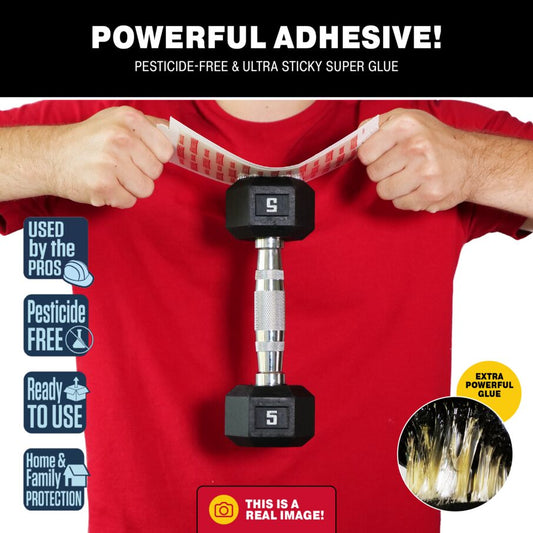Pro Series Multi-Catch Mini Mouse Trap Refills