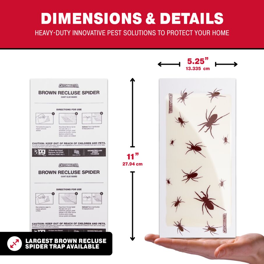 Brown Recluse Spider Giant Glue Board Traps