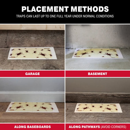 Brown Recluse Spider Giant Glue Board Traps