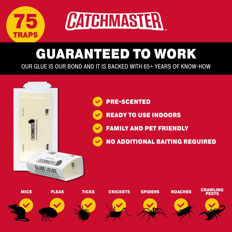 Buy Pest Control Tools and Traps Explore Now Catchmaster