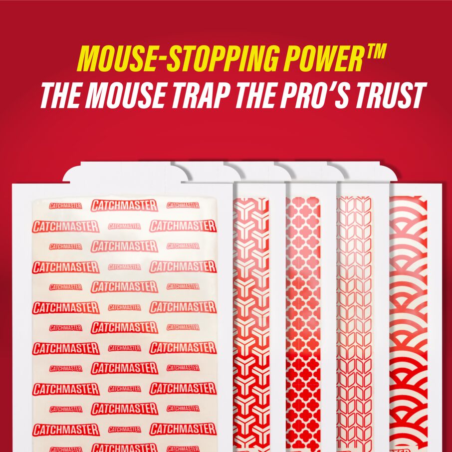 Catchmaster Pro Strength Mouse & Insect Glue Board Set - Thumbnail 4