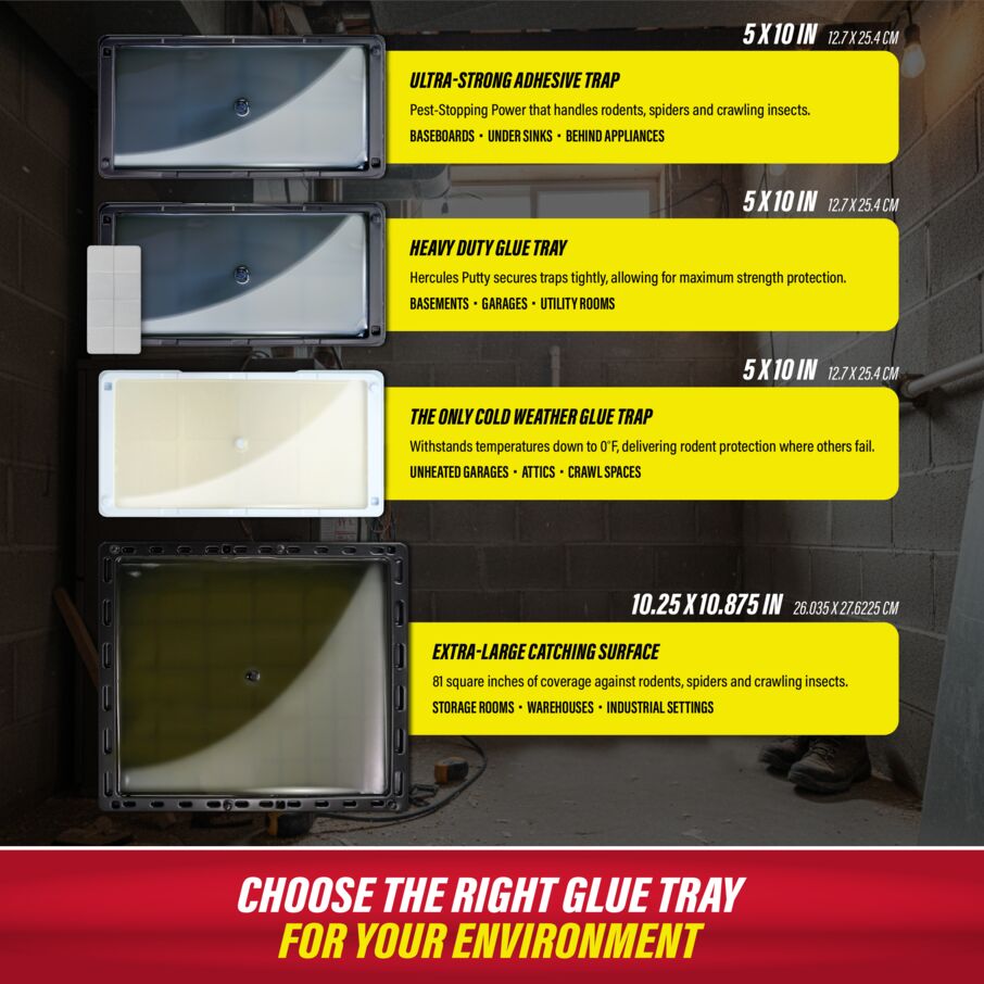 Rodent & Insect Glue Trays for Cold Weather