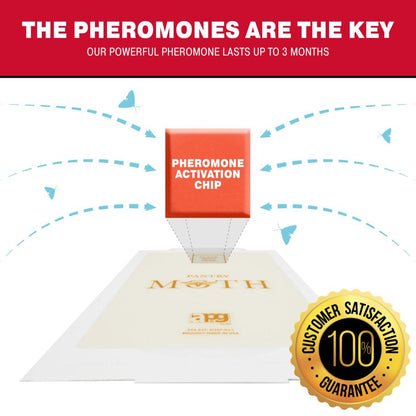 Decorative Pantry Pest & Moth Glue Board Traps