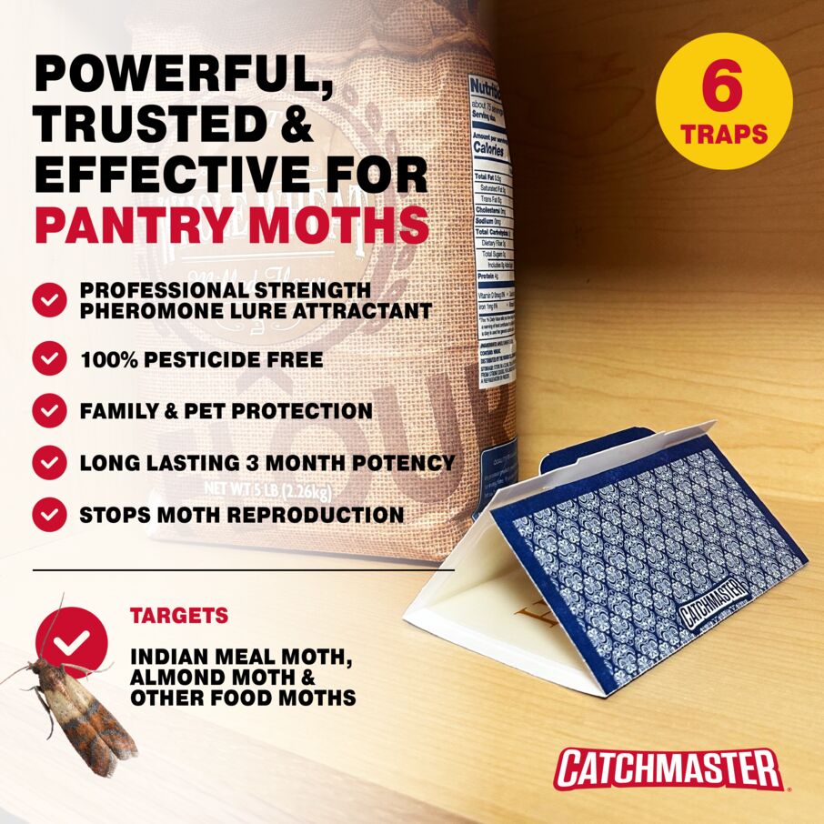 Decorative Pantry Pest & Moth Glue Board Traps