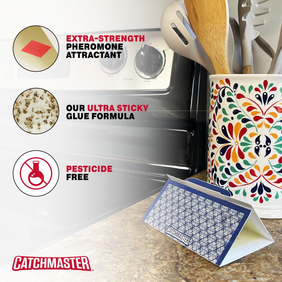 Decorative Pantry Pest & Moth Glue Board Traps