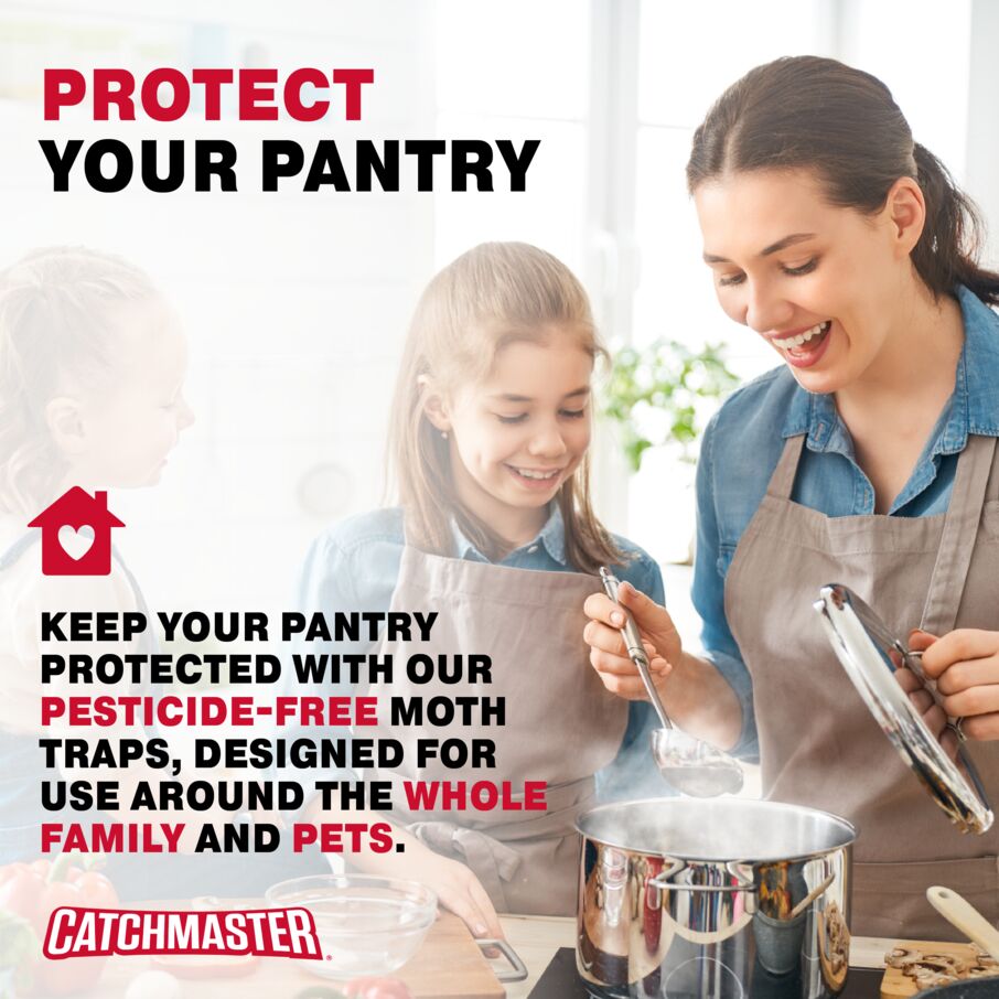 Decorative Pantry Pest & Moth Glue Board Traps