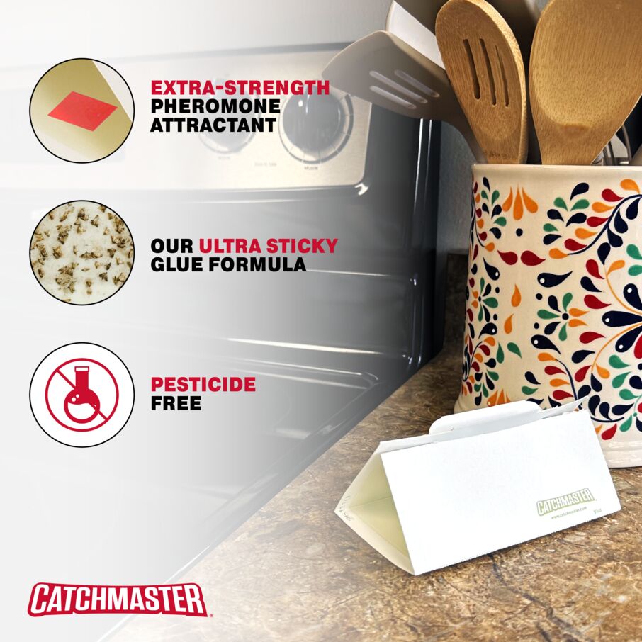 Pantry Pest & Moth Pheromone Infused Glue Board Traps