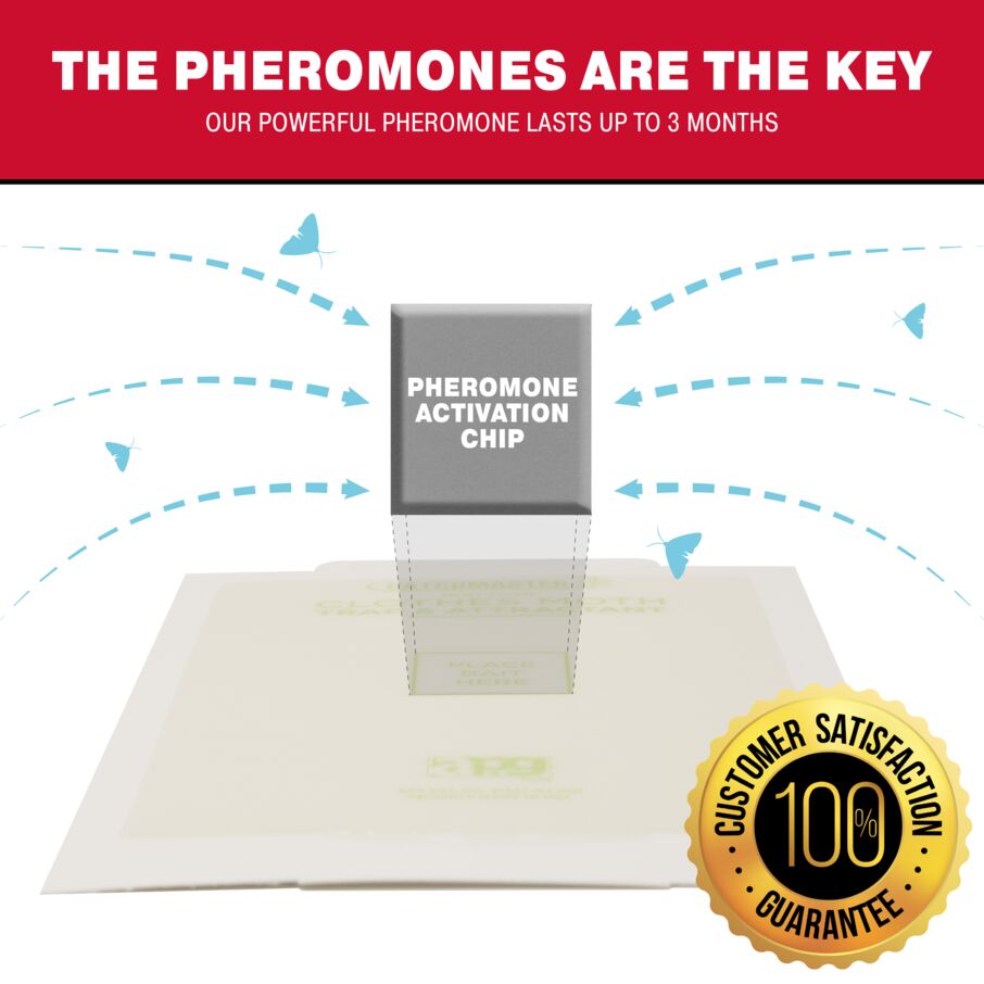 Clothes Moth Glue Board Traps