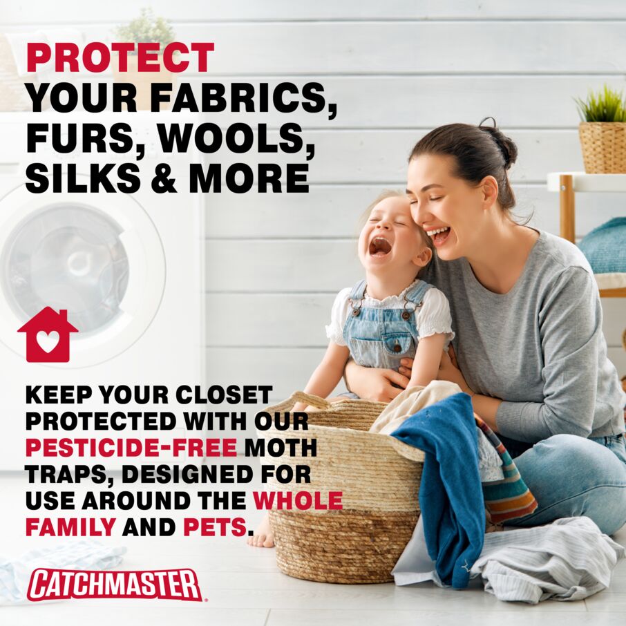 Clothes Moth Glue Board Traps