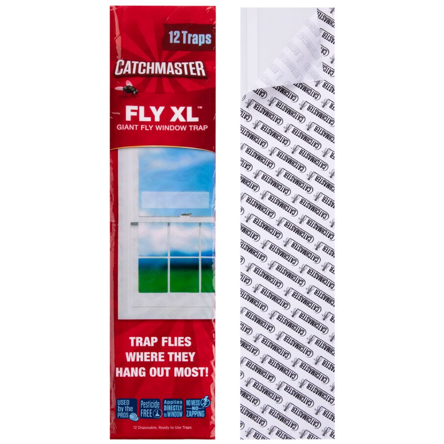 XL Window Fly Traps for Indoors - 12 Pack