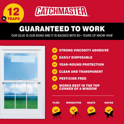 XL Window Fly Traps for Indoors - 12 Pack