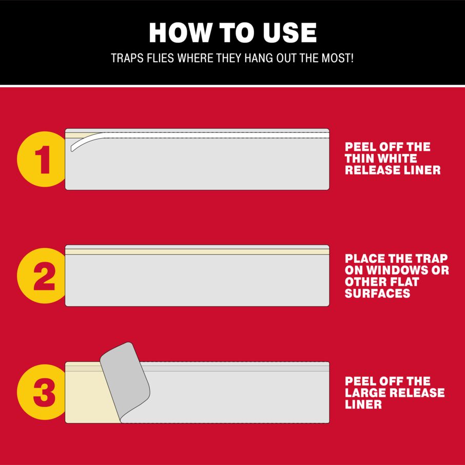 XL Window Fly Traps for Indoors - 12 Pack