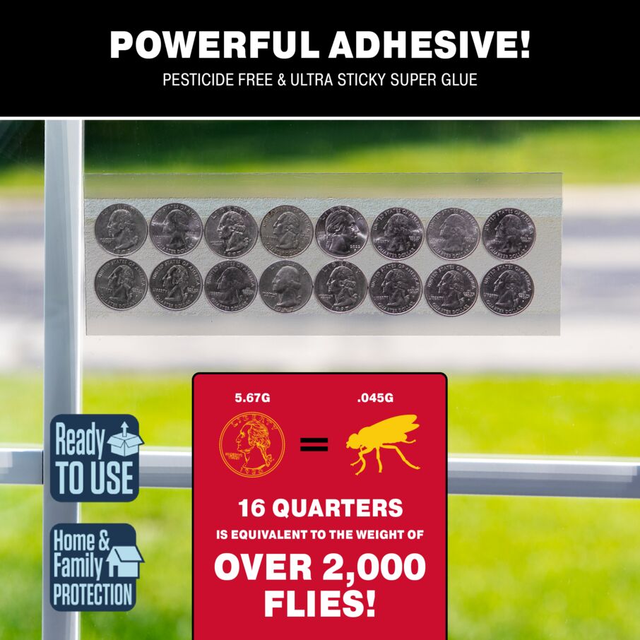 Bug & Fly Clear Window Traps