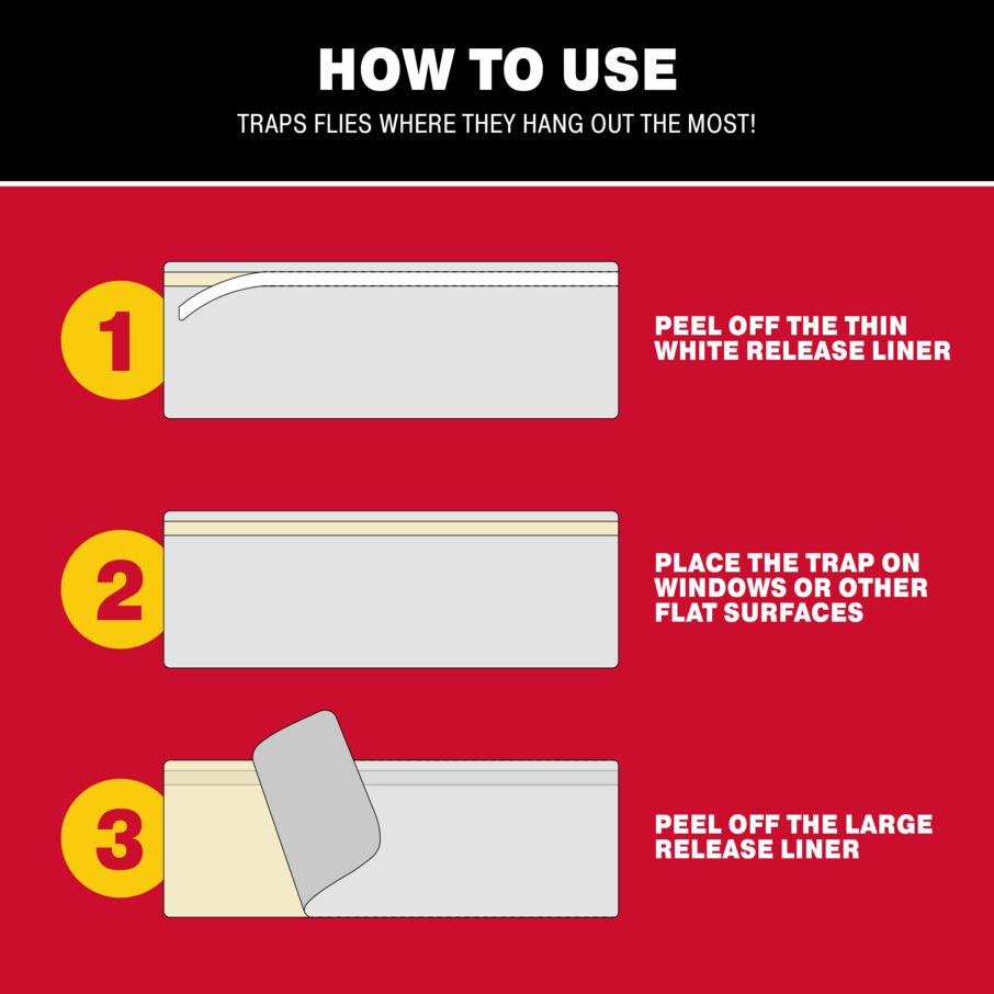 Bug & Fly Clear Window Traps