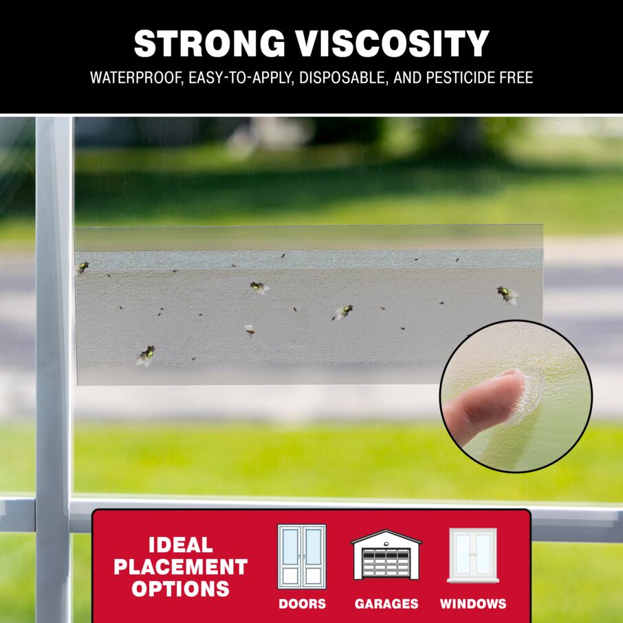 Bug & Fly Clear Window Traps