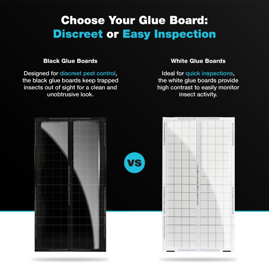 Vector UV Fly Light Universal Replacement Glue Boards Without Pheromones