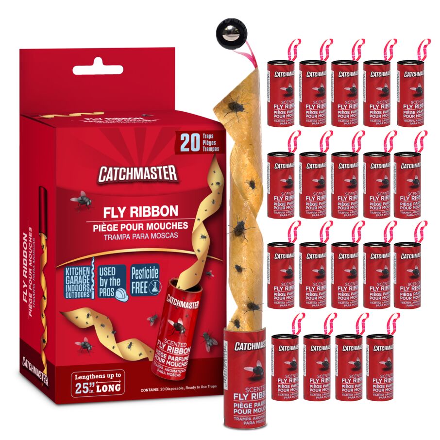 Premium Fly & Bug Ribbon Traps