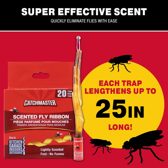 Premium Fly & Bug Ribbon Traps