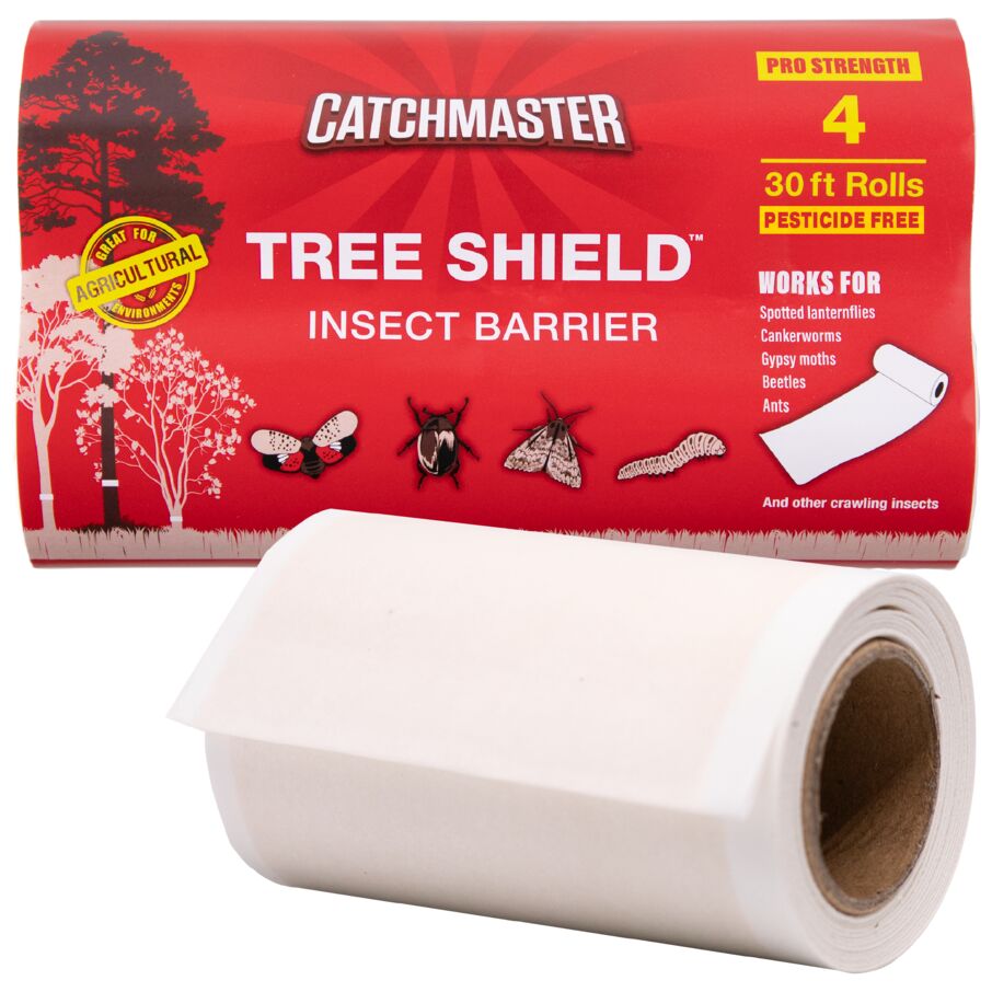 Tree Shield Insect Barrier Trap