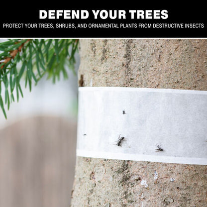 Tree Shield Insect Barrier Trap