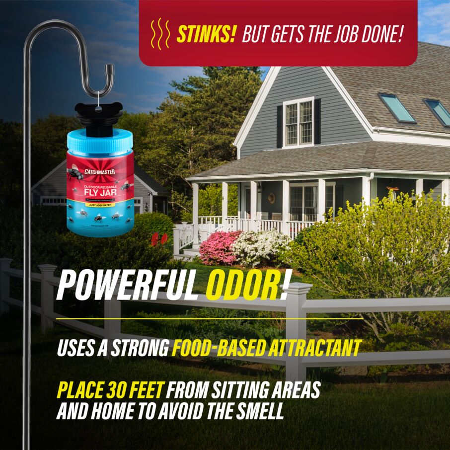 Reusable  Fly Jar Refill 3-Pack – Food-Based Lure