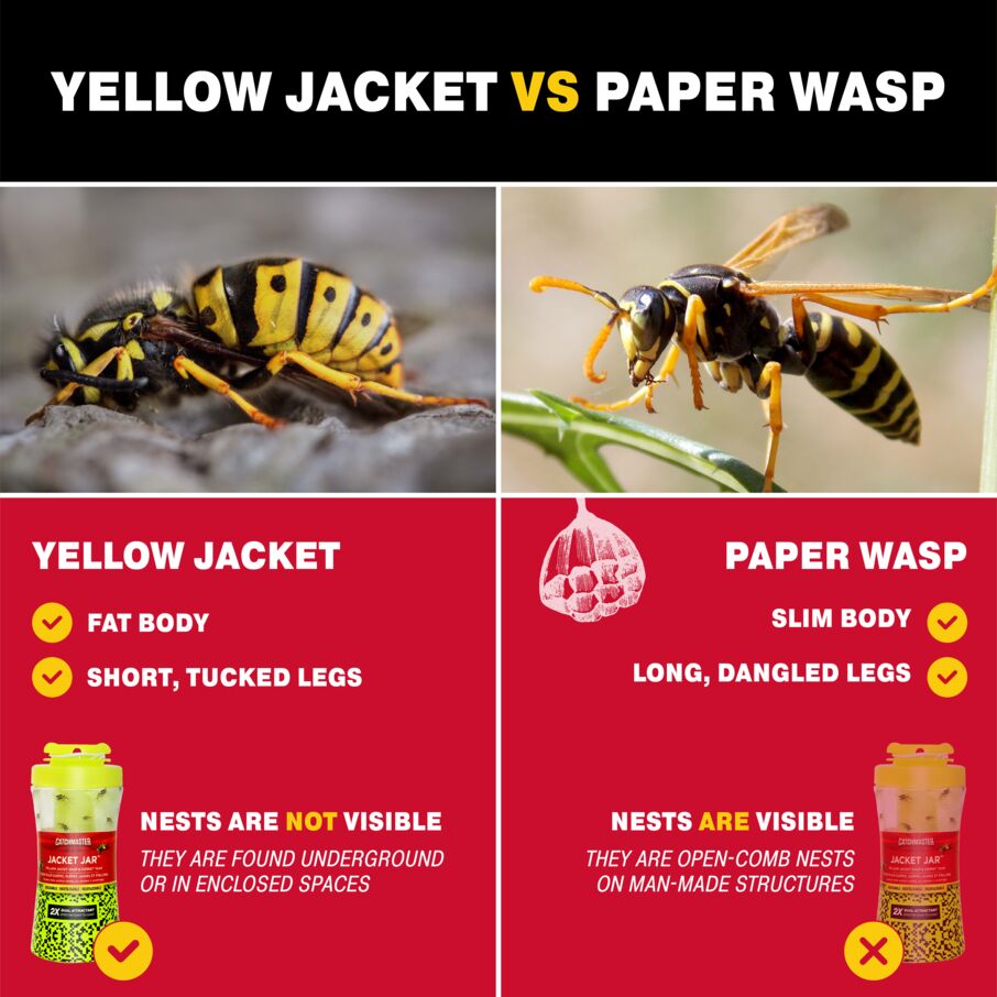 Yellow Jacket, Hornet Bee & Wasp Trap