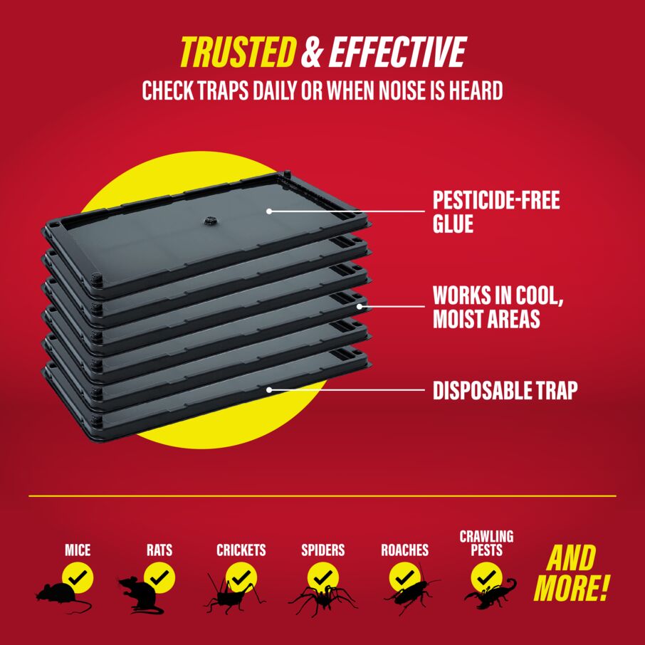 Rat, Mouse & Insect Glue Traps