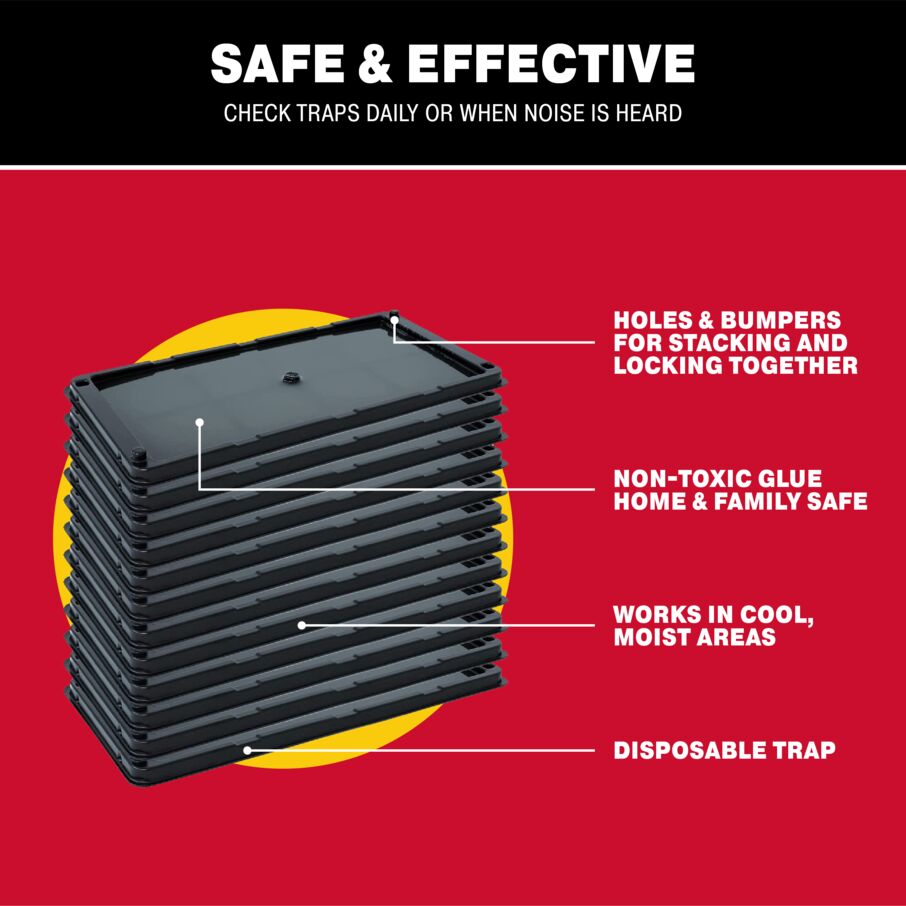 Non-Toxic Rat, Mouse & Insect Glue Traps