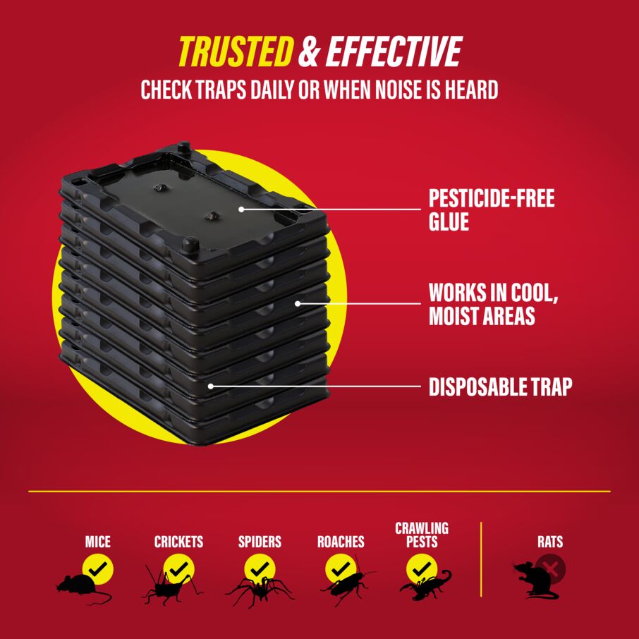 Mouse & Insect Glue Traps